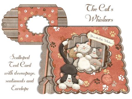 The Cats Whiskers Scalloped Tent Card with Envelope