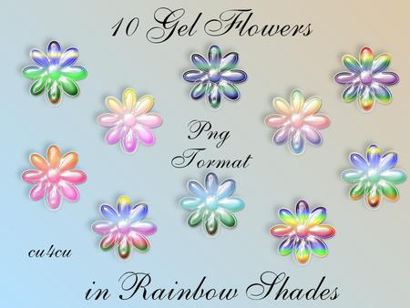 10 Gel Flowers in Rainbow Shades