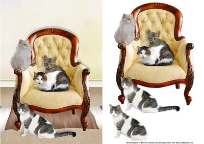 The Easy Life of Cats Card Front