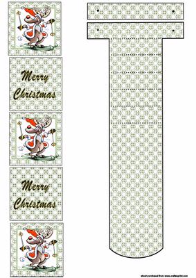 Cute Xmas Reindeer Skiing Waterfall