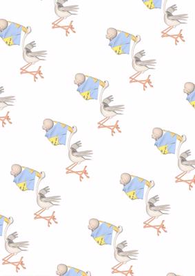 Bringing the Baby Boy Vellum