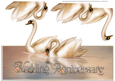 Swans in Love Anniversary Over the Top Large Card
