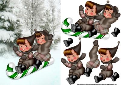 The Twins Out Sledging Card Front