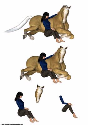 My Horse Friend Step by Step