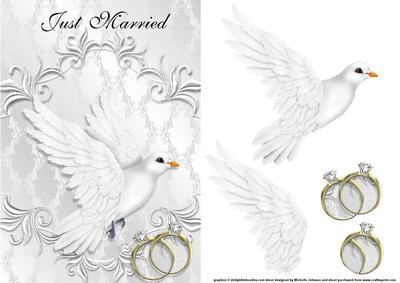 White Dove Hers & Hers Gold Just Married Card Front