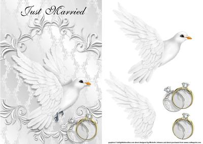 White Dove Hers & Hers Gold and Plat Just Married Card Front
