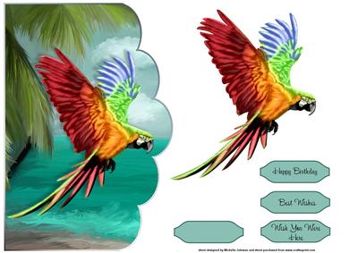 Macaw Parrot Scalloped Edge Card