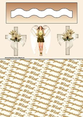 Sympathy Penny Slider