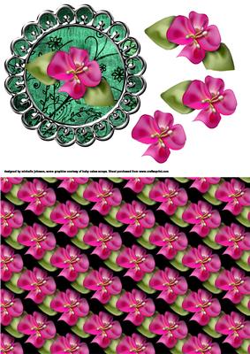 Oriental Lily Step by Step with Background