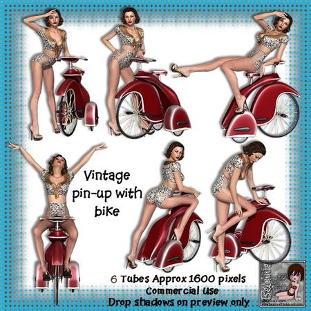 6 Vintage Pin-up on a Vintage Bike Poser Tubes