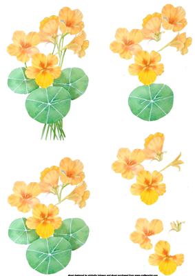 Orange Floral Posy Step by Step