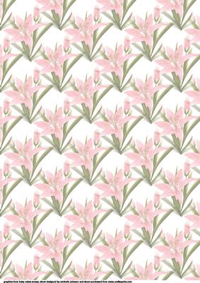Pink Lily Vellum