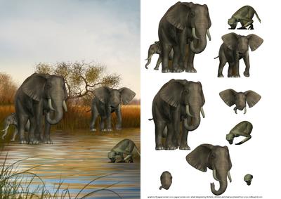 At the Watering Hole Card Front