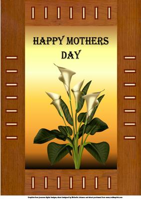 A4 Calla Lily 3 Card