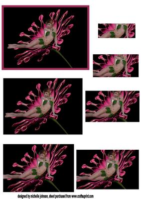 African Daisy Fairy Pyramid