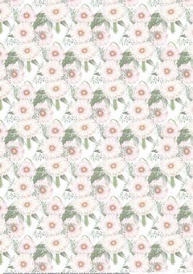 Pink Daisies Vellum
