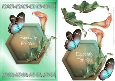 Lily and Butterfly Card Front