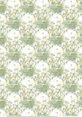 Black Eyed Flowers Vellum