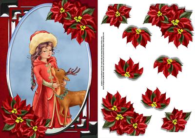 Holy Night and Poinsettia