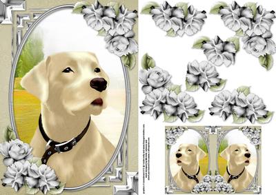 Blonde Labrador Card Front with Gift Tag