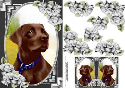 Chocolate Labrador Card Front with Gift Tag
