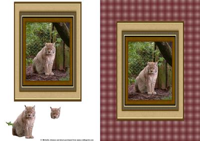Lynx Big Cat Card Front with Decoupage