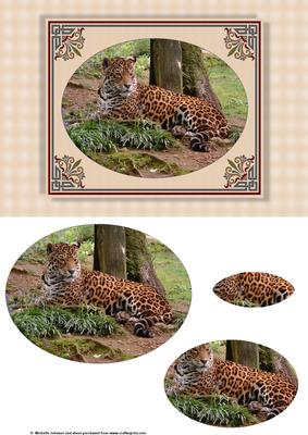 Jaguar Big Cat Card Front with Oval Pyramage