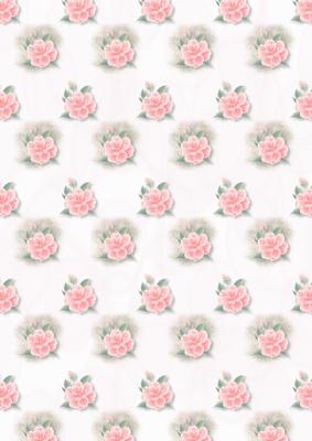 Wild Pink Roses Vellums
