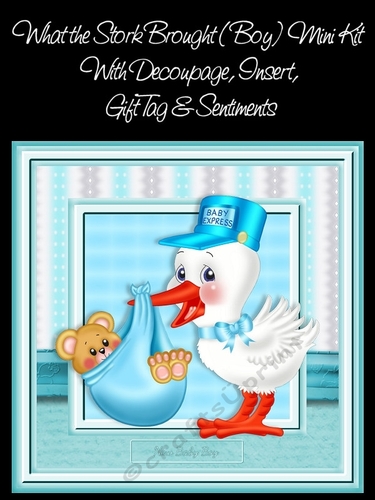 What The Stork Brought (Boy) Mini Kit