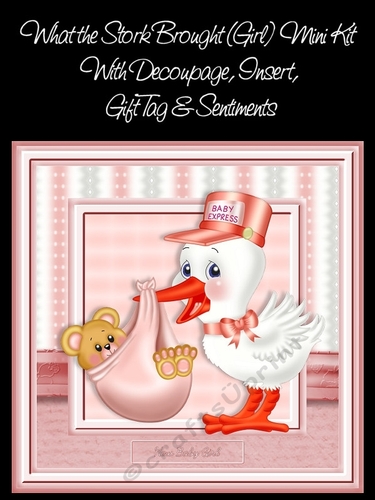 What The Stork Brought (Girl) Mini Kit