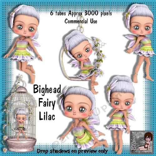 6 Bighead Fairy lilac Poser Tubes