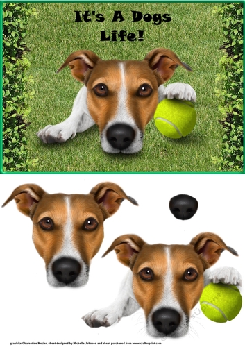 Its A Dogs Life Jack Russell Card Front