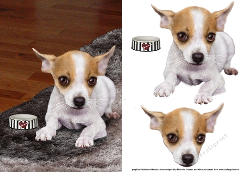 Cute Chihuahua Card Front
