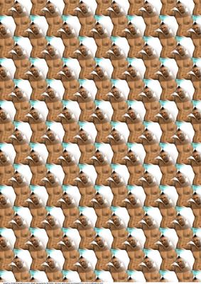 Wish I Was Him Background