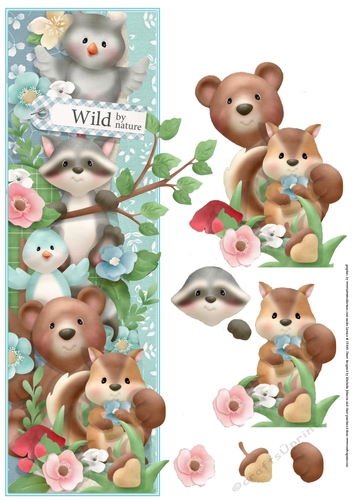 Wild By Nature Over The Edge Card