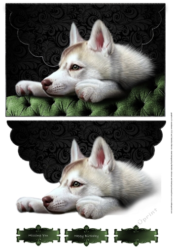 Loyal Husky Scalloped Faux Envelope Card