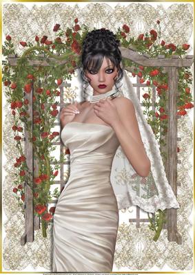 A4 Beautiful Bride Wedding Day Card