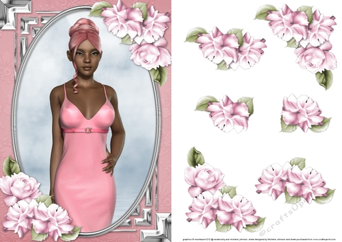 Ethnic Lady in an Elegant Pink Dress and Roses