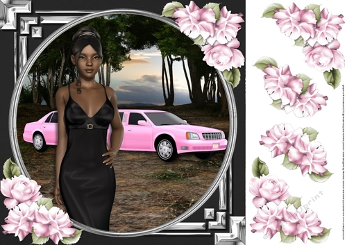 Ethnic Lady in an Elegant Black Dress, Pink Limousine and Roses 3