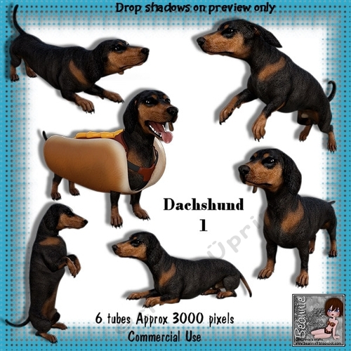 6 Dachshund Dog Poser Tubes 1