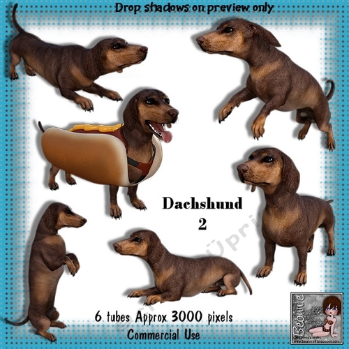 6 Dachshund Dog Poser Tubes 2
