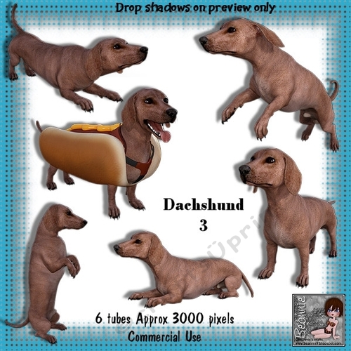 6 Dachshund Dog Poser Tubes 3