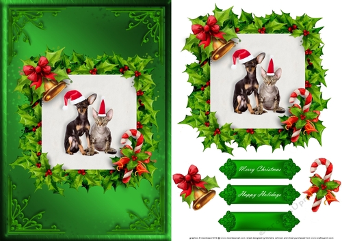 Dog And Cat Christmas Card Front Green 1