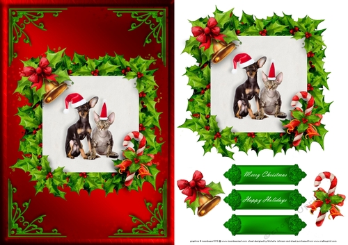 Dog And Cat Christmas Card Front Red 1