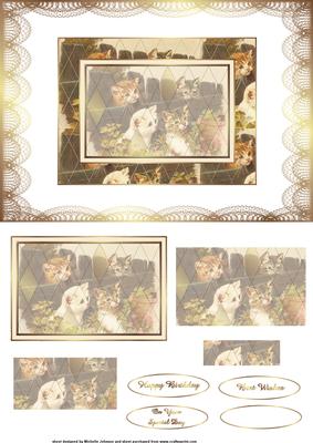 Vintage Cats Quick Card Front with Pyramage