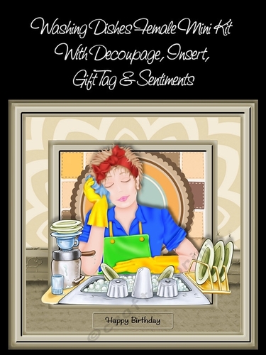 Washing Dishes Female Mini Kit