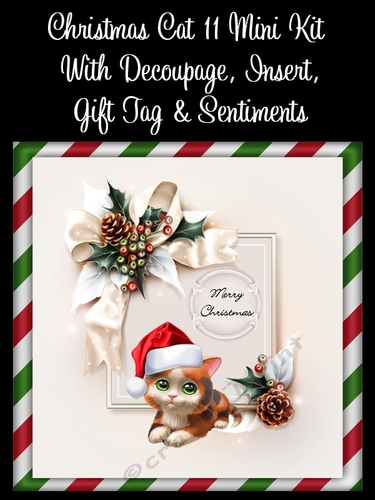 Christmas Cat 11 8x8 Mini Kit