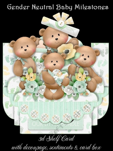 Gender Neutral Baby Milestones 3D Shelf Kit With Card Box