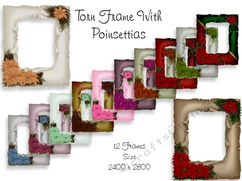 12 Torn Frames With Poinsettias