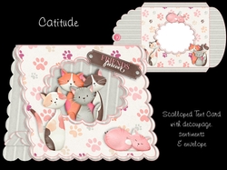 Catitude Scalloped Tent Card Kit